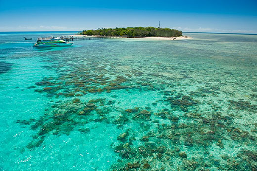 10 Reasons To Visit The Great Barrier Reef today