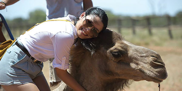 contiki-camel northern territory contiki camel