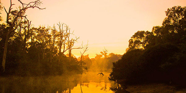 Margaret River Is Australia’s Beer Capital.