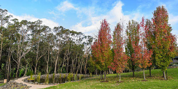 regional victoria travel