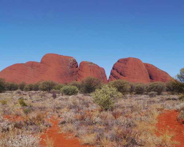 olgas-crop