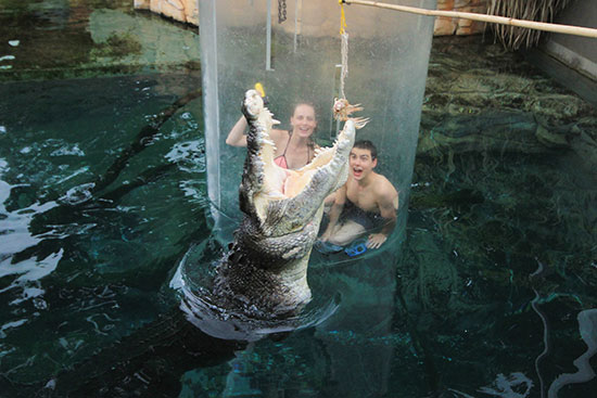 diving with crocodiles in Darwin