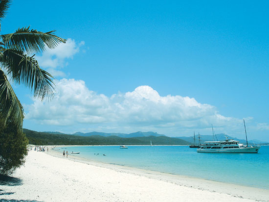 Blue skies, white sands, sea and palm trees at the Whitsundays whitehaven beach in the whitsundays