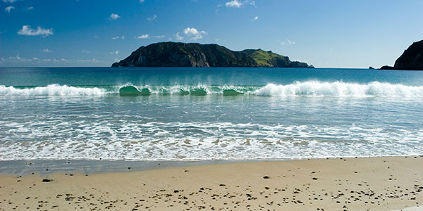 great-barrier-reef-island-scott-venning great barrier island new zealand