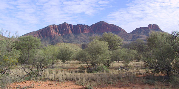 mulgas-Mount_Sonder-(1) mount sonder macdonnell ranges northern territory