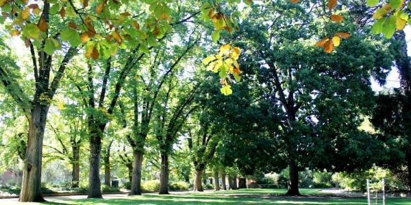 New South Wales Weekend Holiday Ideas