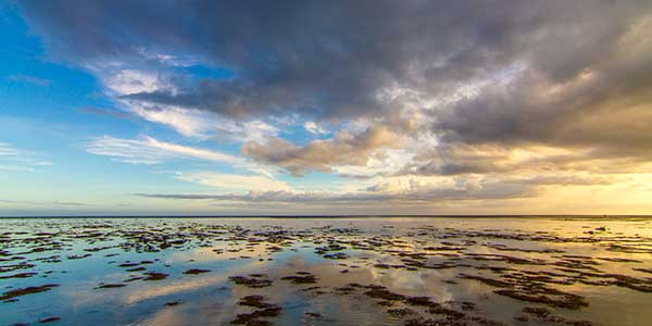 coral coast fiji sunset