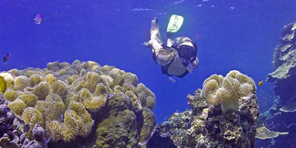 GBR1