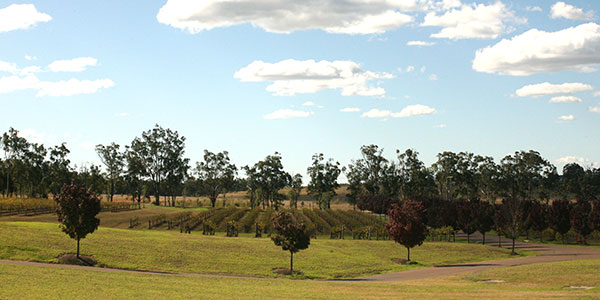 Hunter_Valley_2 Discover The Amazing Hunter Valley