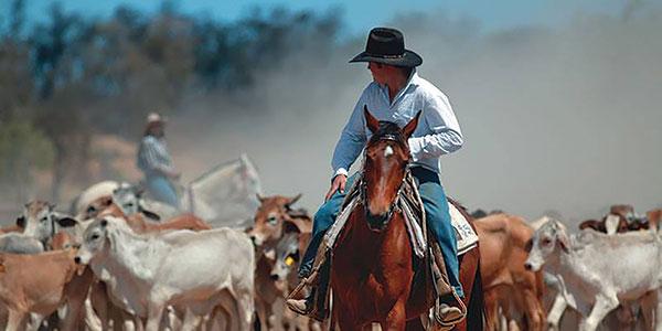 Jobs-in-Northern-Territory jobs in the northern territory