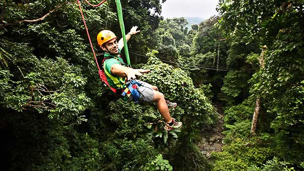Jungle-Surfing-Canopy-Tours-Daintree-National-Park zip lining through cape tribulation of north queensland