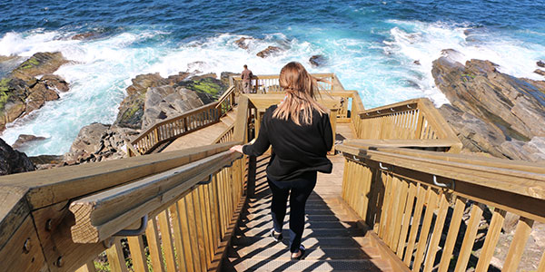 KIA-Tours-Walking-down-steps-to-coast walking down to the coast on kangaroo island