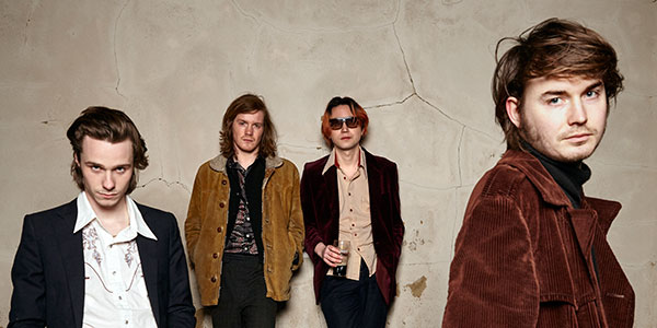 palma violets