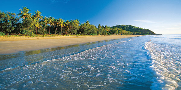 coastline and beach of port douglas