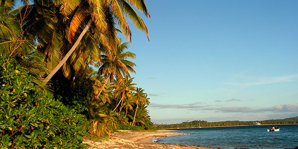 fiji-by-Jon-Eric-Melsæter plam trees in fiji at sunset
