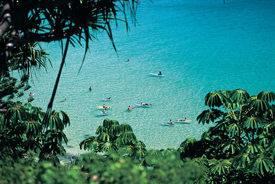 swimming in the water off the gold coast