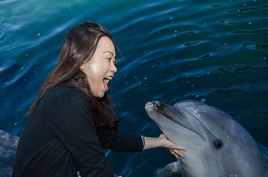 meet dolphins in the gold coast