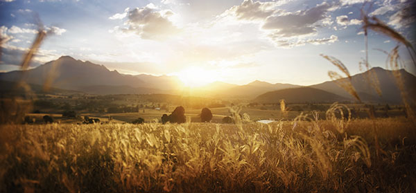sunset over gold coast valley