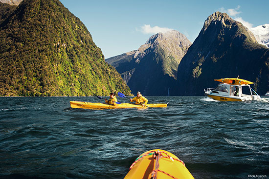 kayaking in milford sound