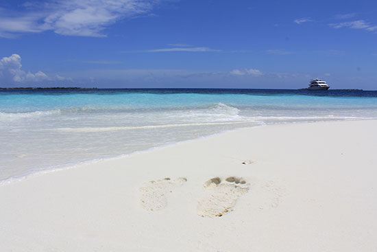 beach in the maldives