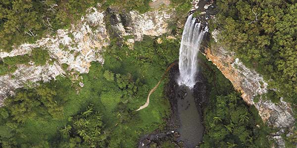 Gold-Coast-Tamborine-Mountain waterfall tambourine mountain gold coast
