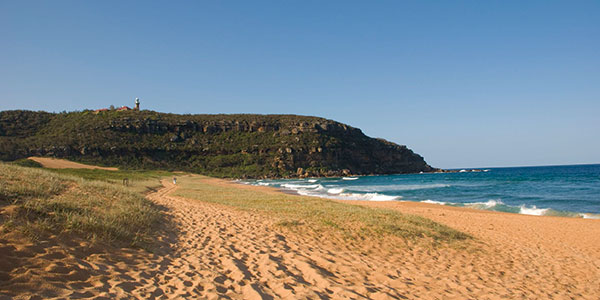 palm beach sydney