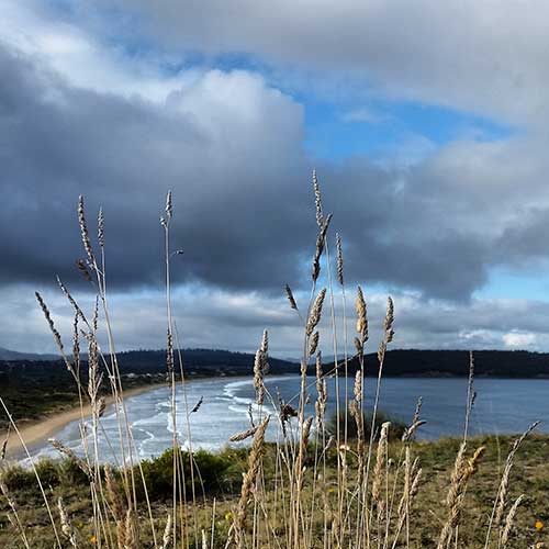 Tasmania Bay view
