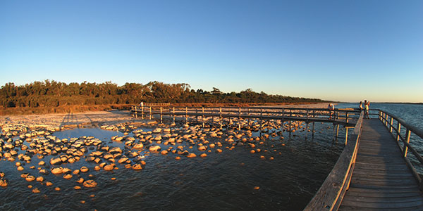 Visit-Peel-Thromobolites-04 thrombolites in the peel region of western australia