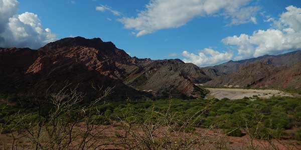 arg7 cafayate salta