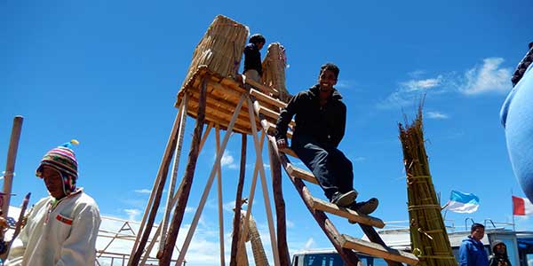 ladder of straw