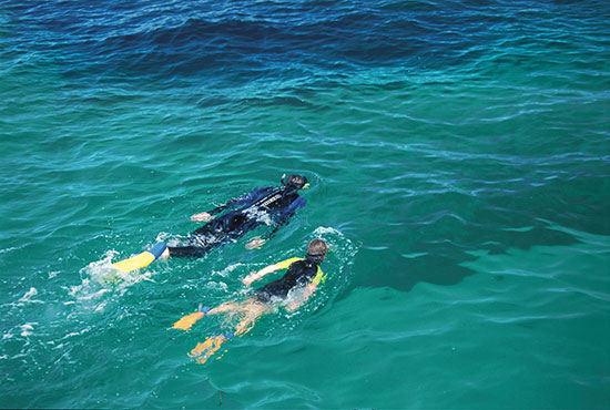 snorkelling in jurien bay western australia