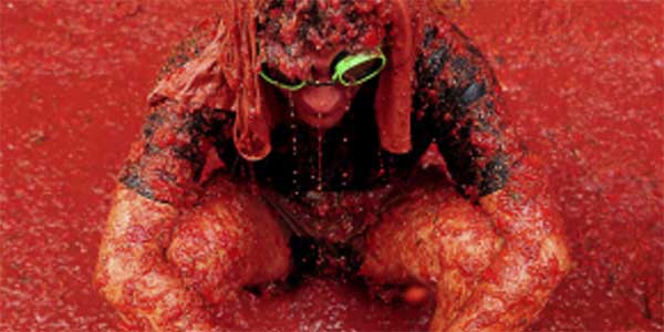 24 la tomatina stoke travel