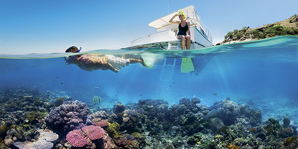 couple snorkelling the great barrier reef