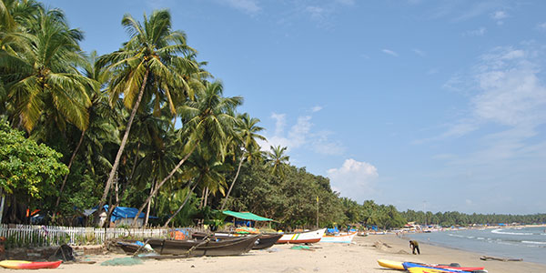 Sandy-Dhaliwal-Palolem-Beach palm trees on plaloem beach goa india