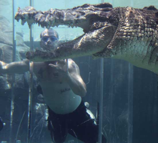 crocosaurus