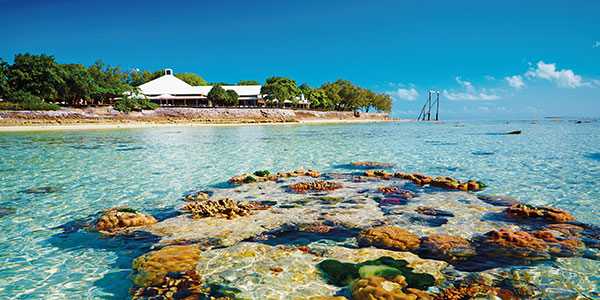 heron-island-reef coral reef off of heron island