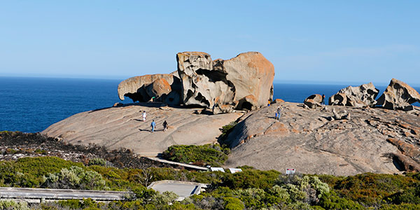 kangaroo island tours