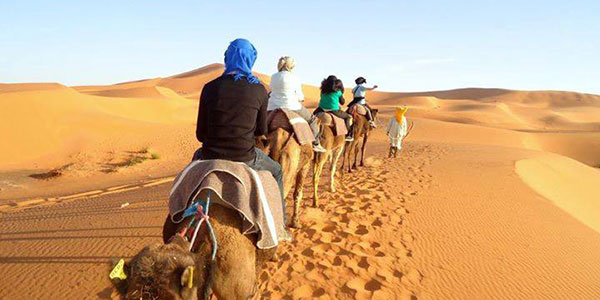 riding camels through the desert
