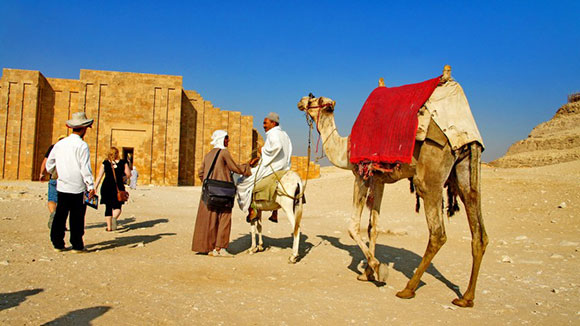 camel in egypt