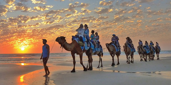 Kimberley-Wild-CableBeachCamels2_KWE Kimberley tours 2018