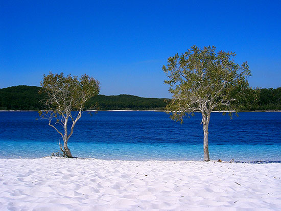 lake mckenzie on fraser island
