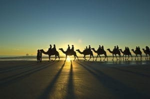 Road Trip From Broome To The Ningaloo Reef by Bus and Coach