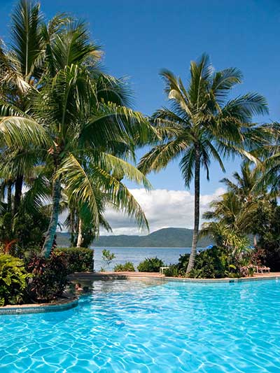 palm trees on daydream island