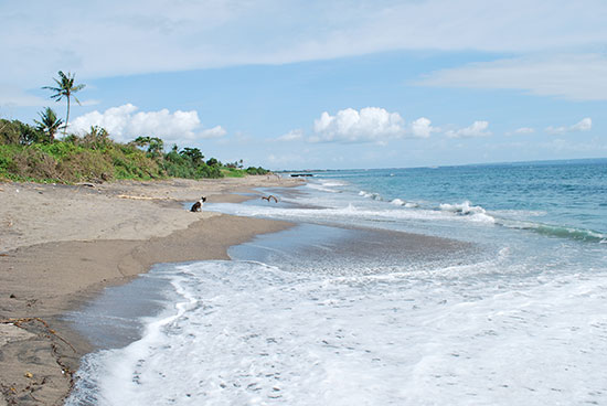 canggu beach bali