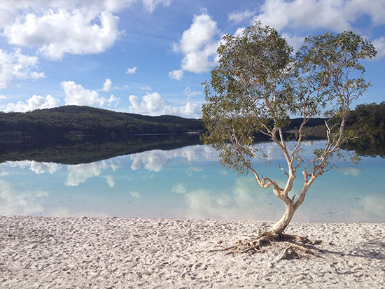 lake mckenzie fraser island