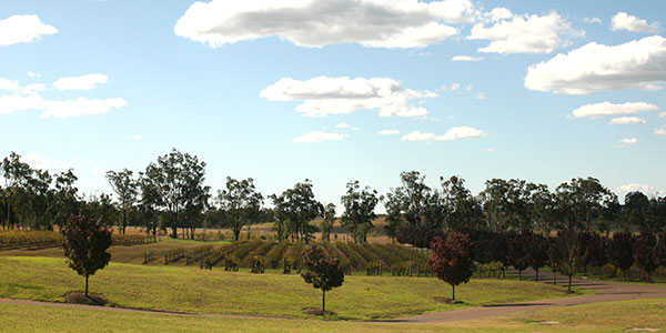 Hunter_Valley_2-(1) hunter valley wines nsw