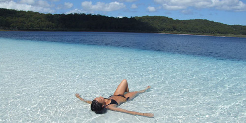 dropbear-adventures-bathing-in-lake-mckenzie Fraser Island 4x4 tours