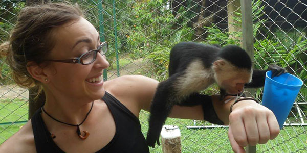 monkey in costa rica
