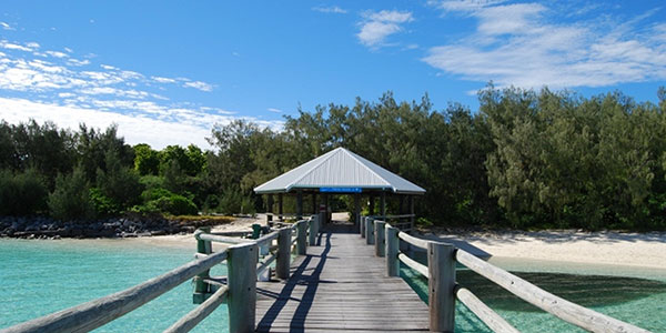heron-island-jetty jetty on heron island