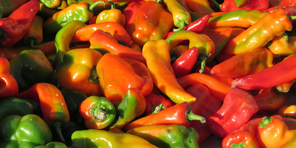 peppers-french-market